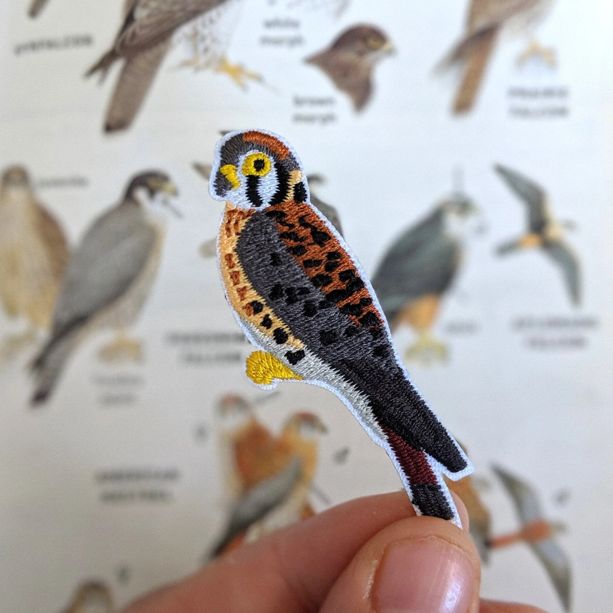 American Kestrel Patch - Image 4