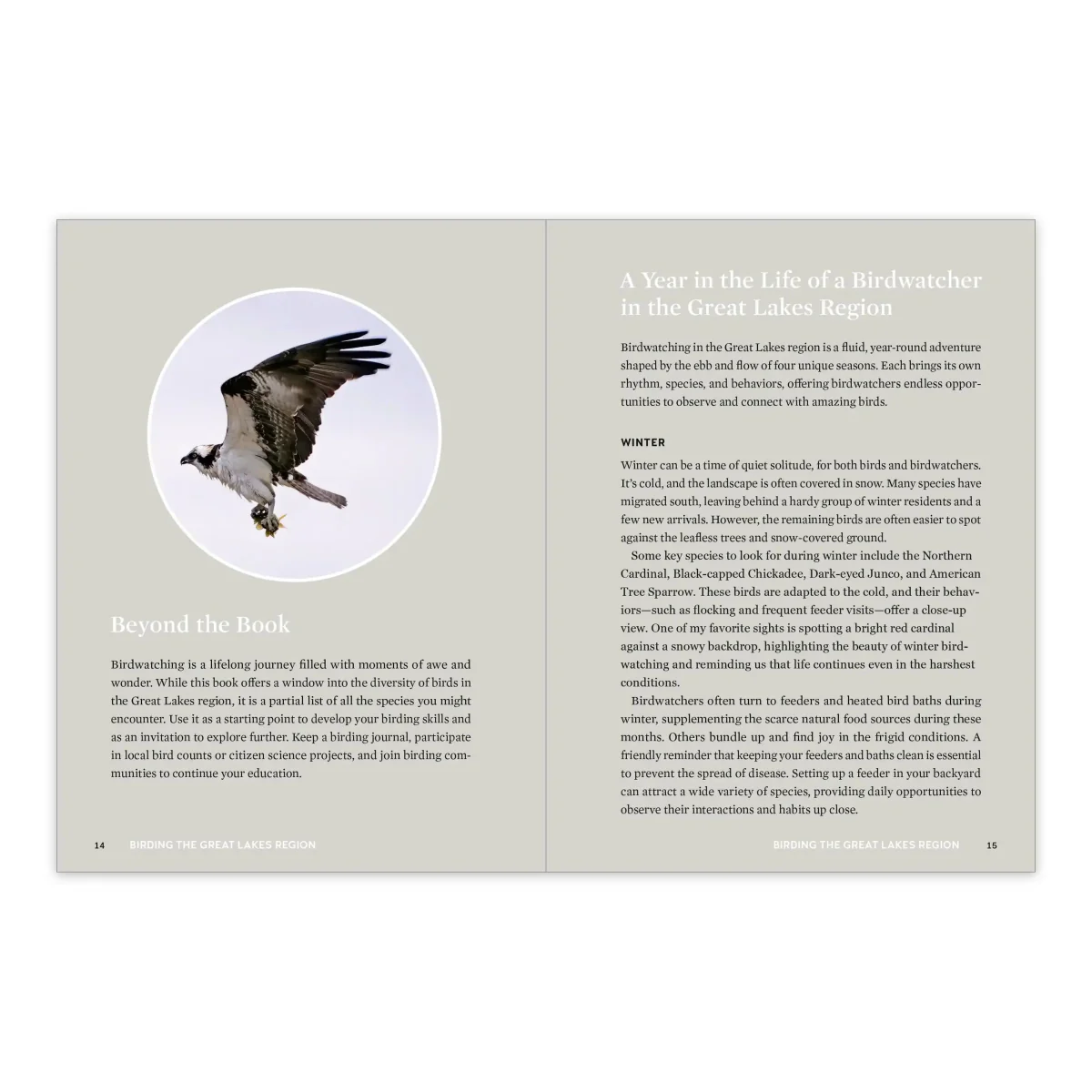 Birds of the Great Lakes - Image 3