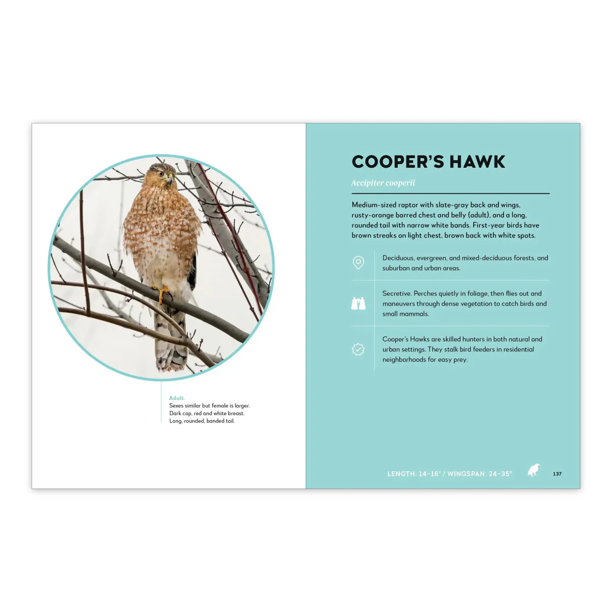 Birds of the Great Lakes - Image 5