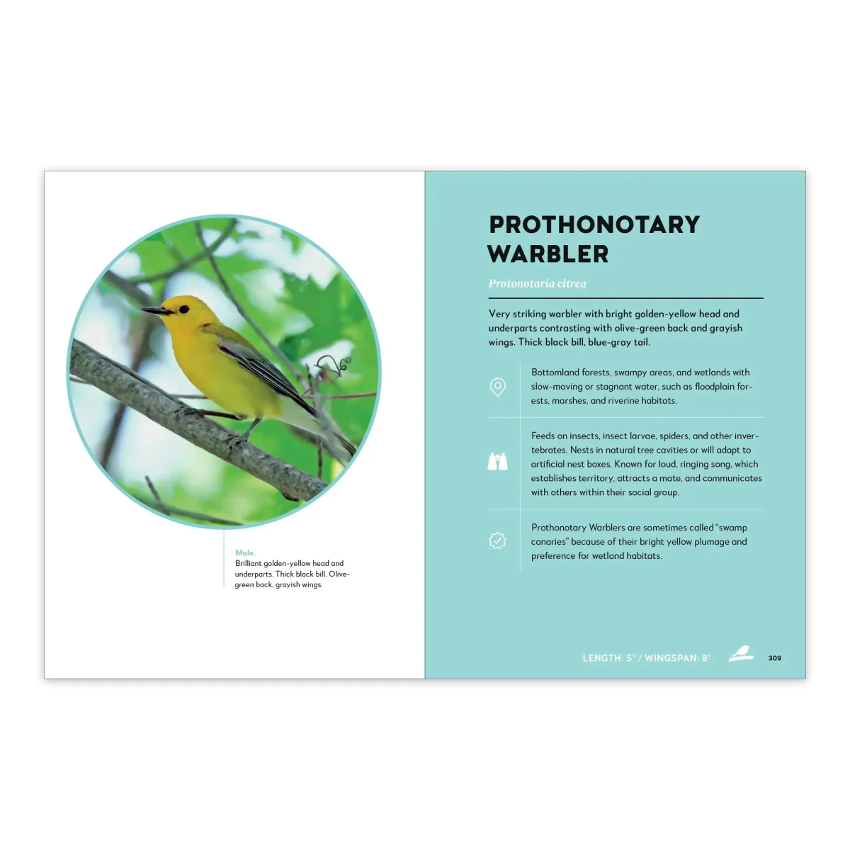 Birds of the Great Lakes - Image 6