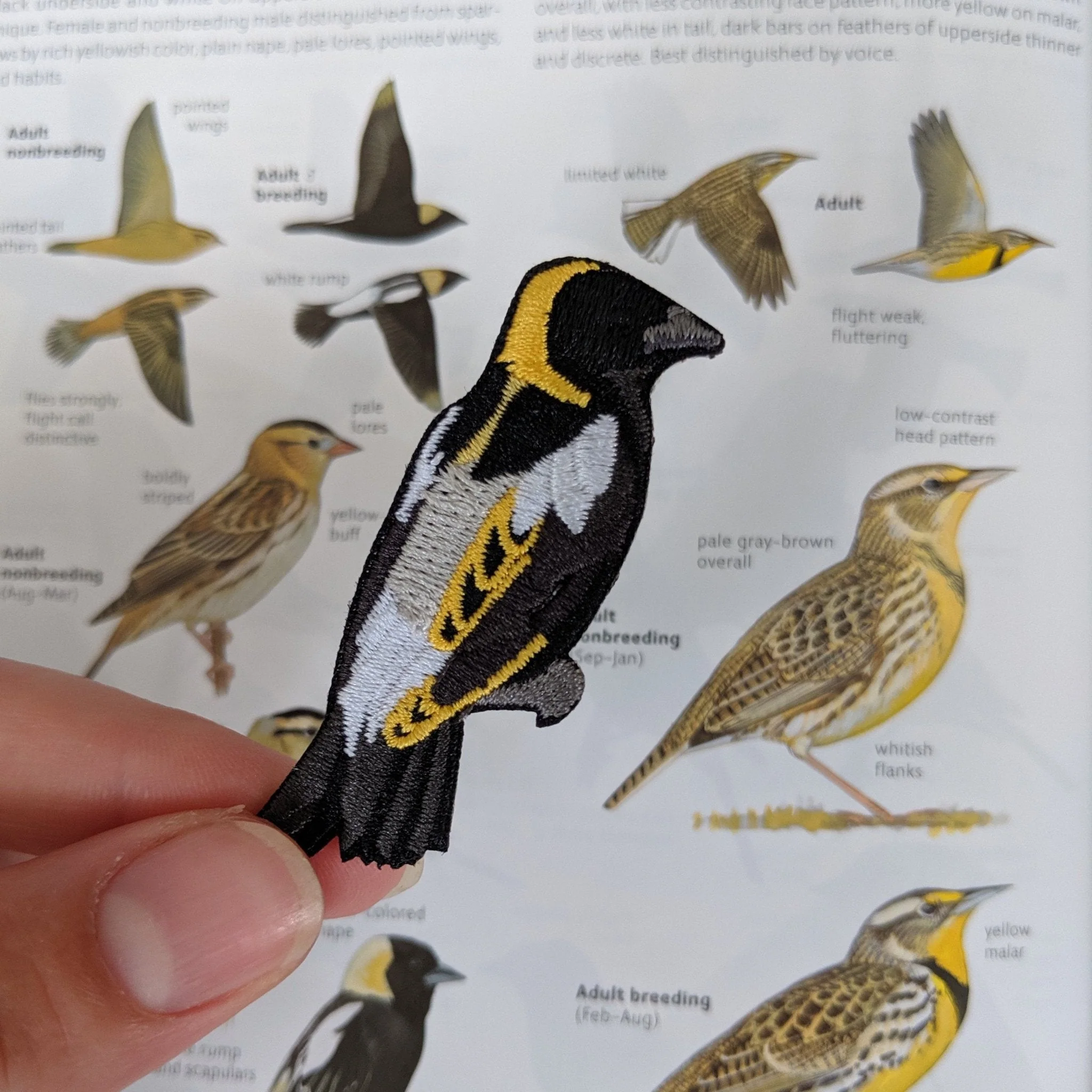 Bobolink Patch - Image 3