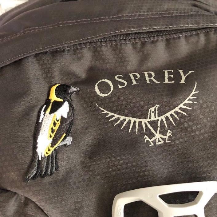 Bobolink Patch - Image 5