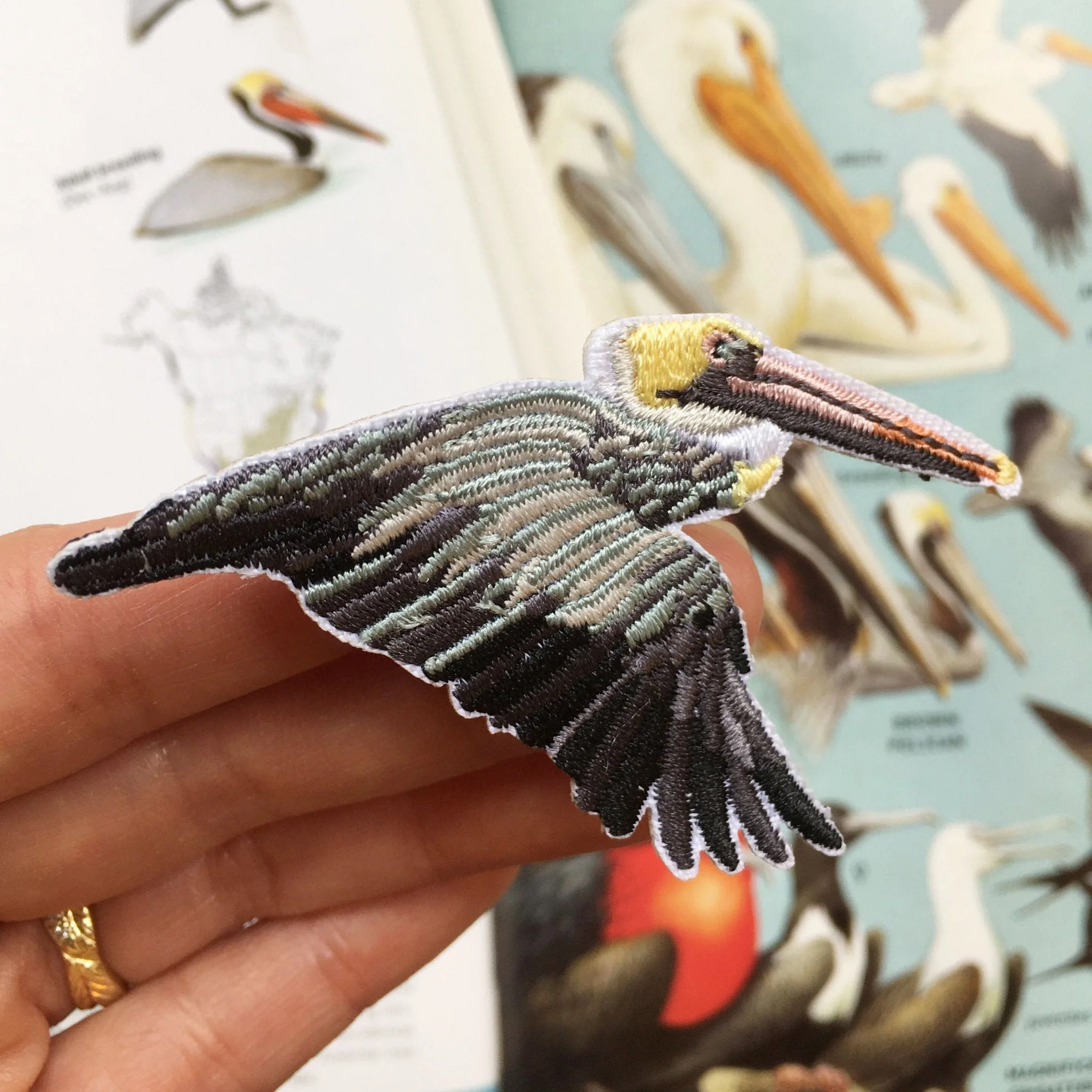 Brown Pelican Patch - Image 4