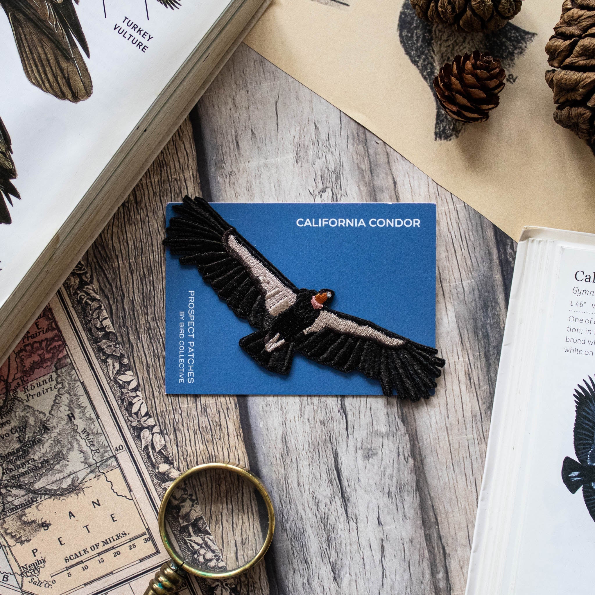 California Condor Patch - Image 4