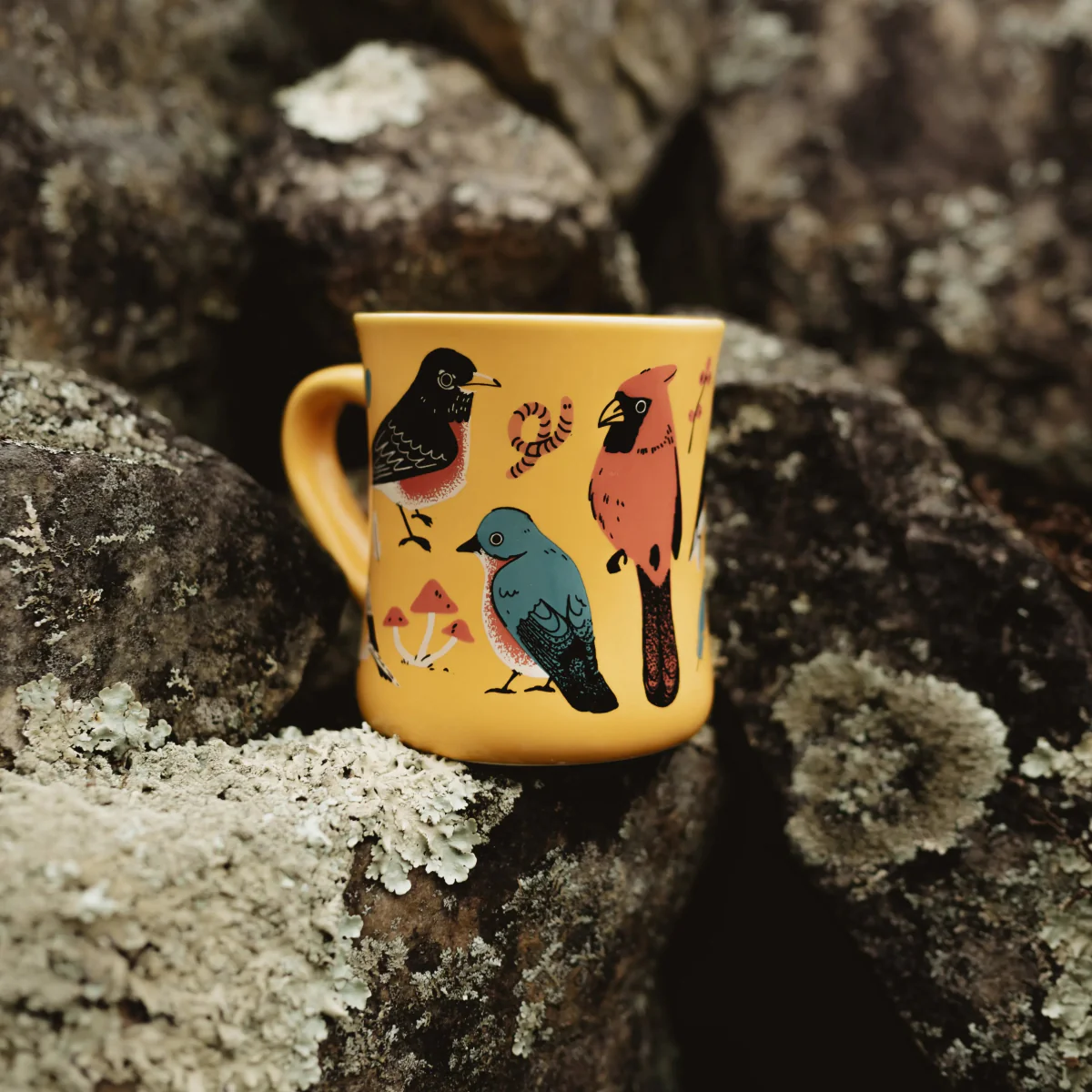 Eastern Backyard Birds Ceramic Mug - Image 9