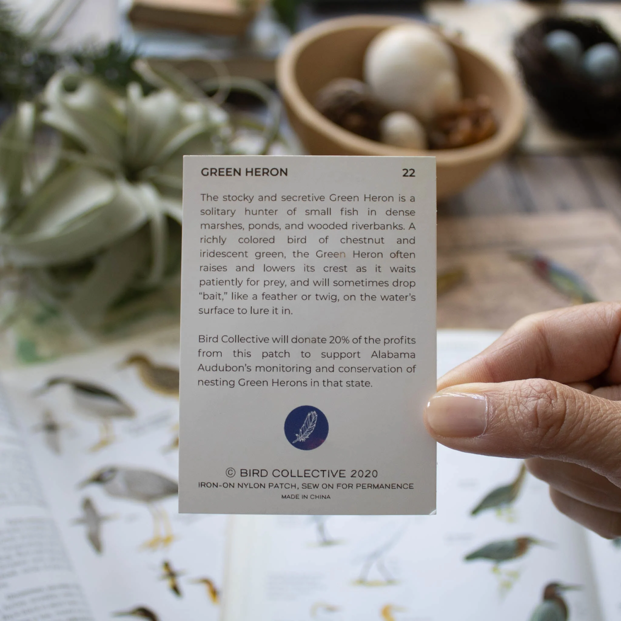 Green Heron Patch - Image 4