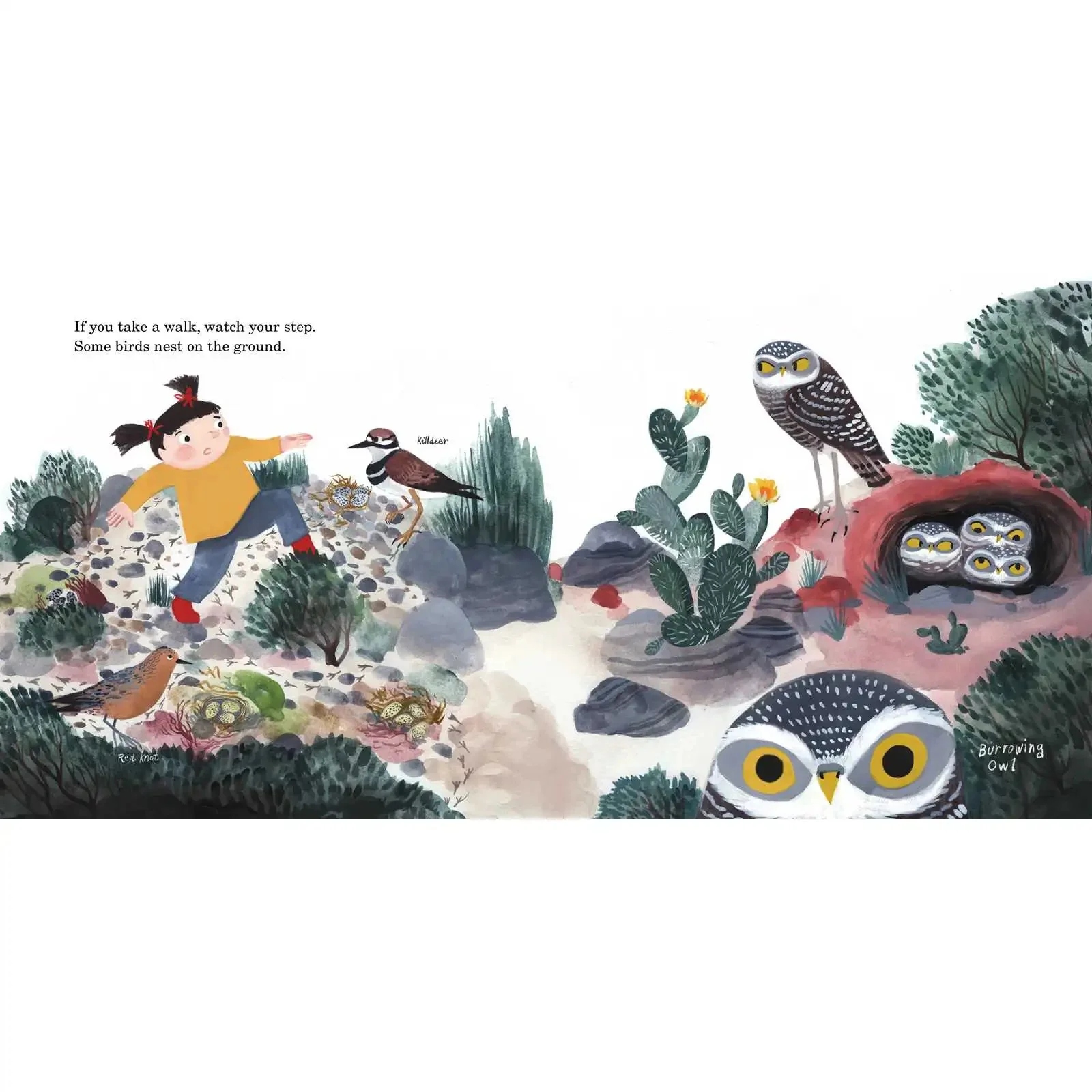 How to Find a Bird - Image 5