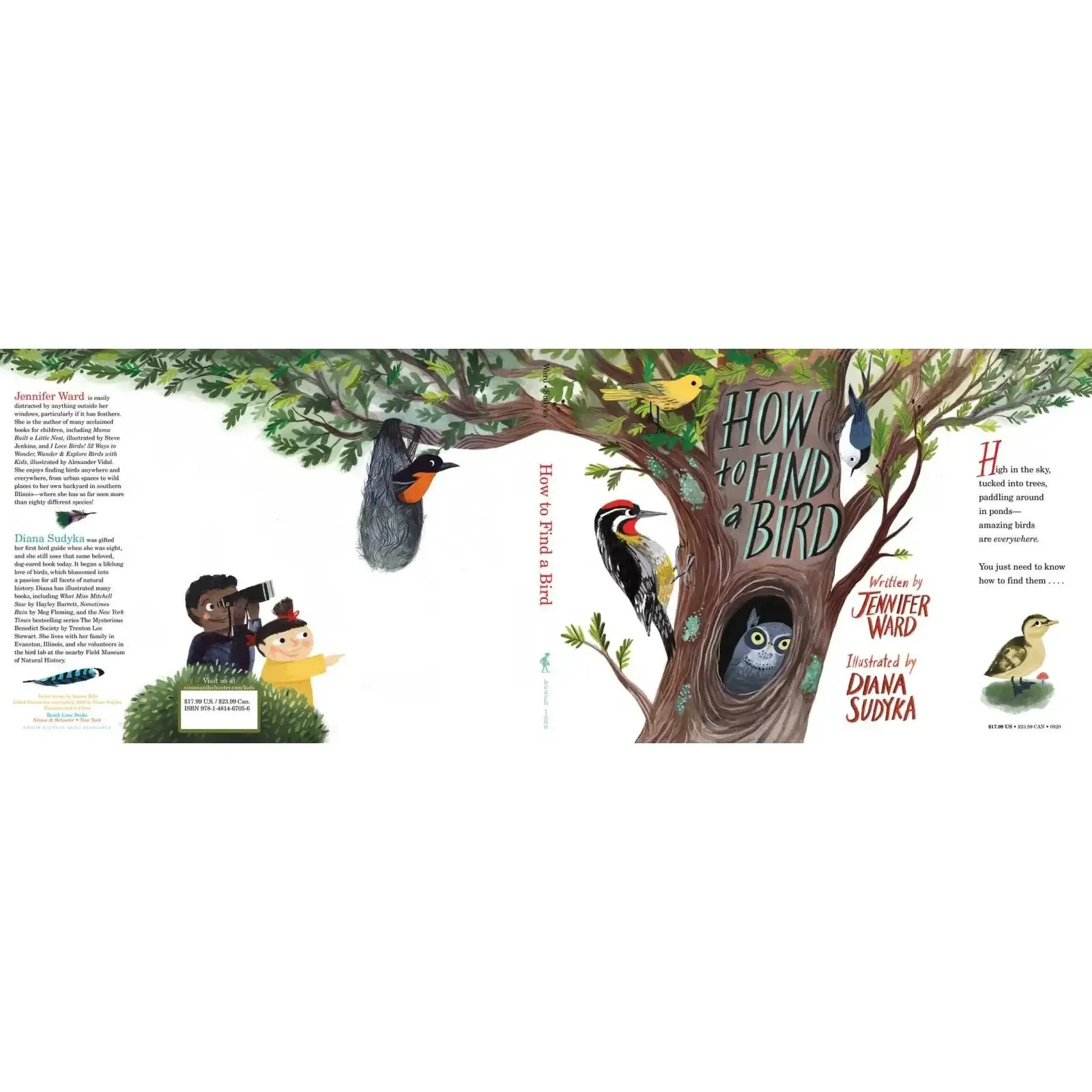 How to Find a Bird - Image 6