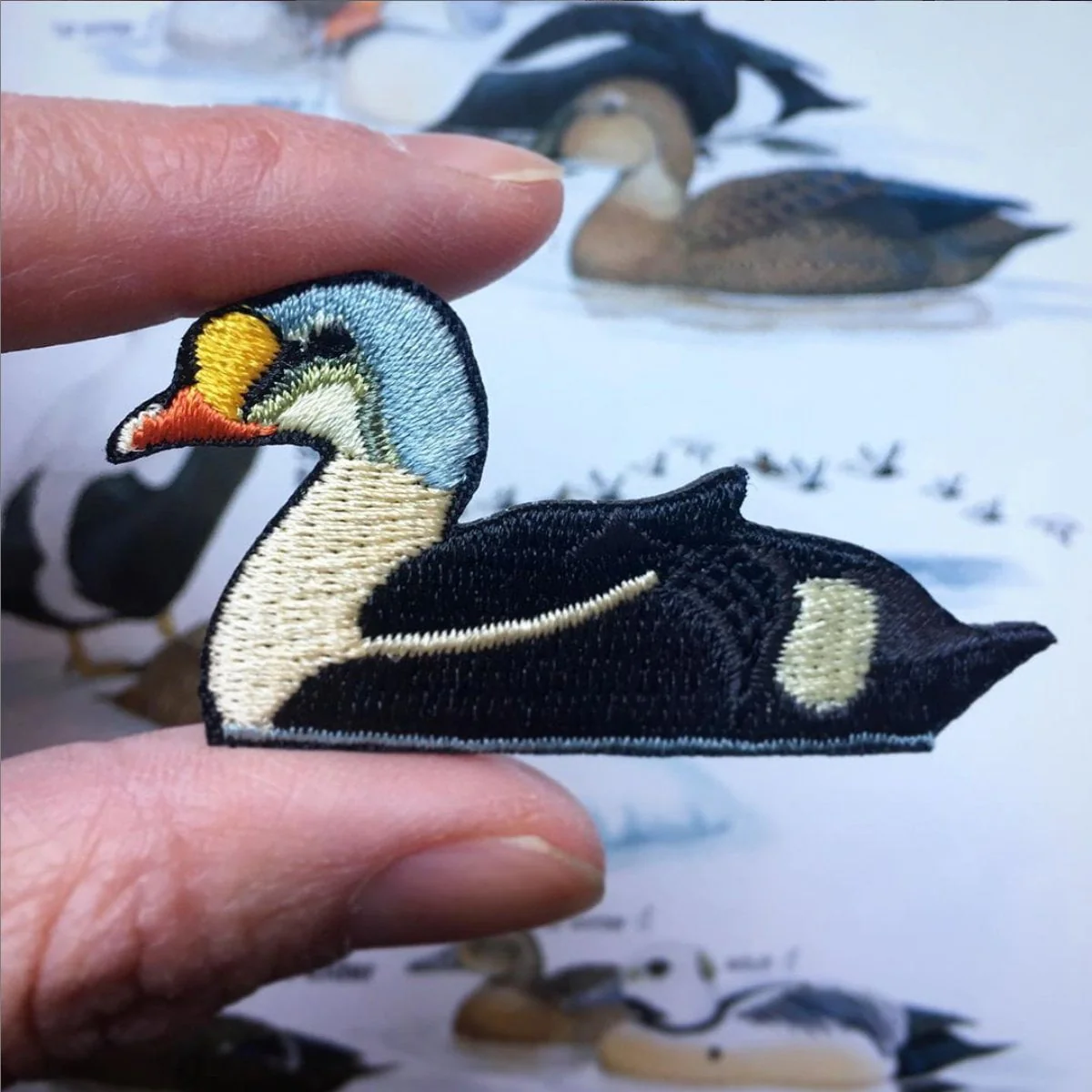 King Eider Patch - Image 3