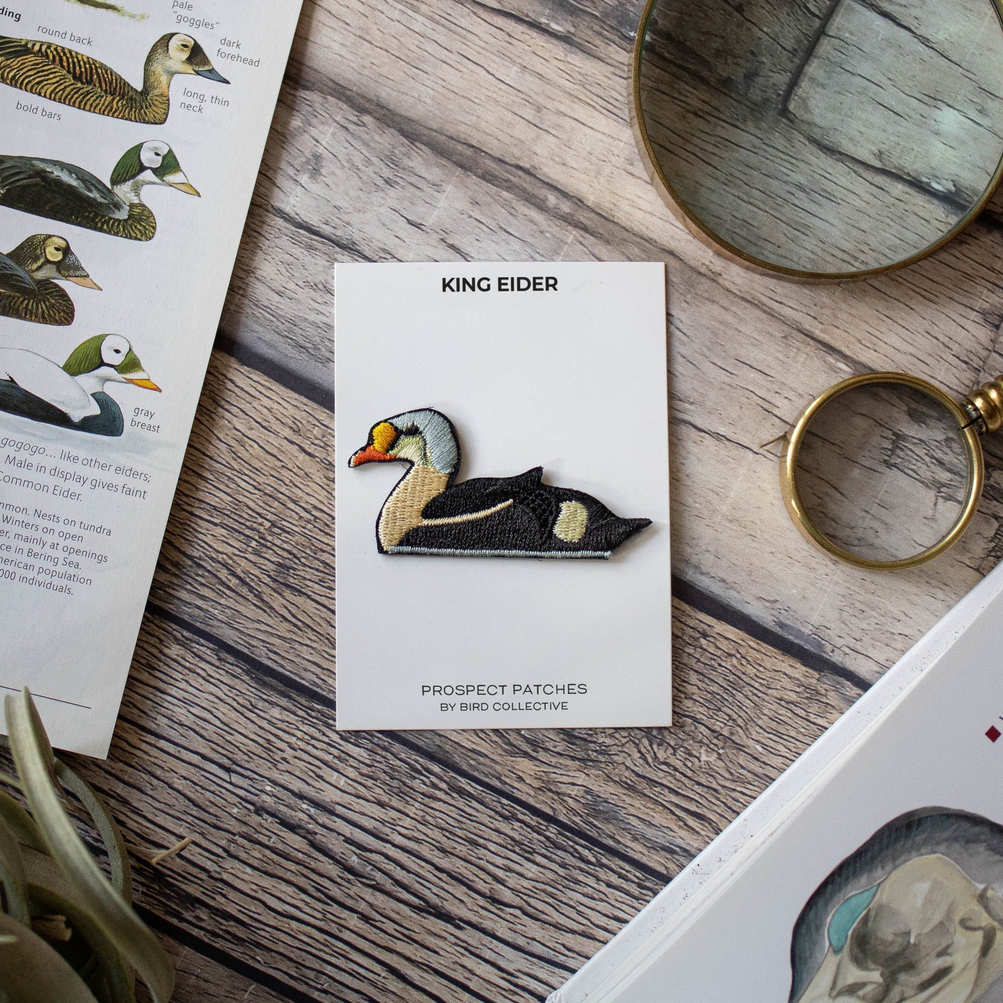 King Eider Patch - Image 4