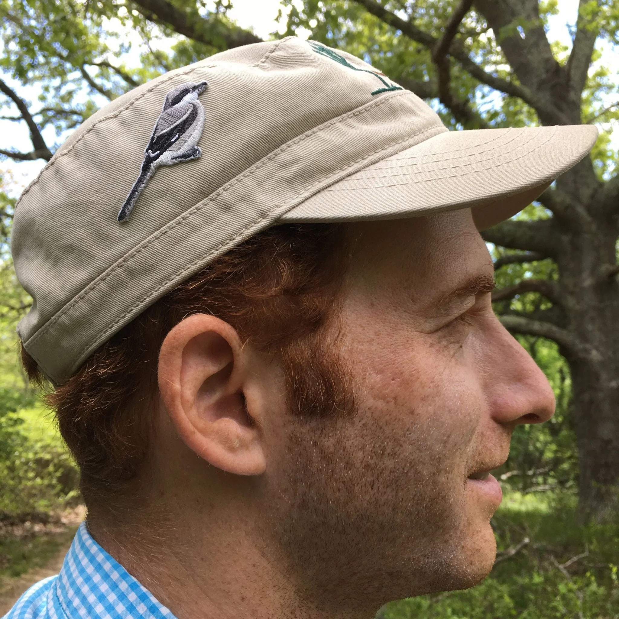 Loggerhead Shrike Patch - Image 5