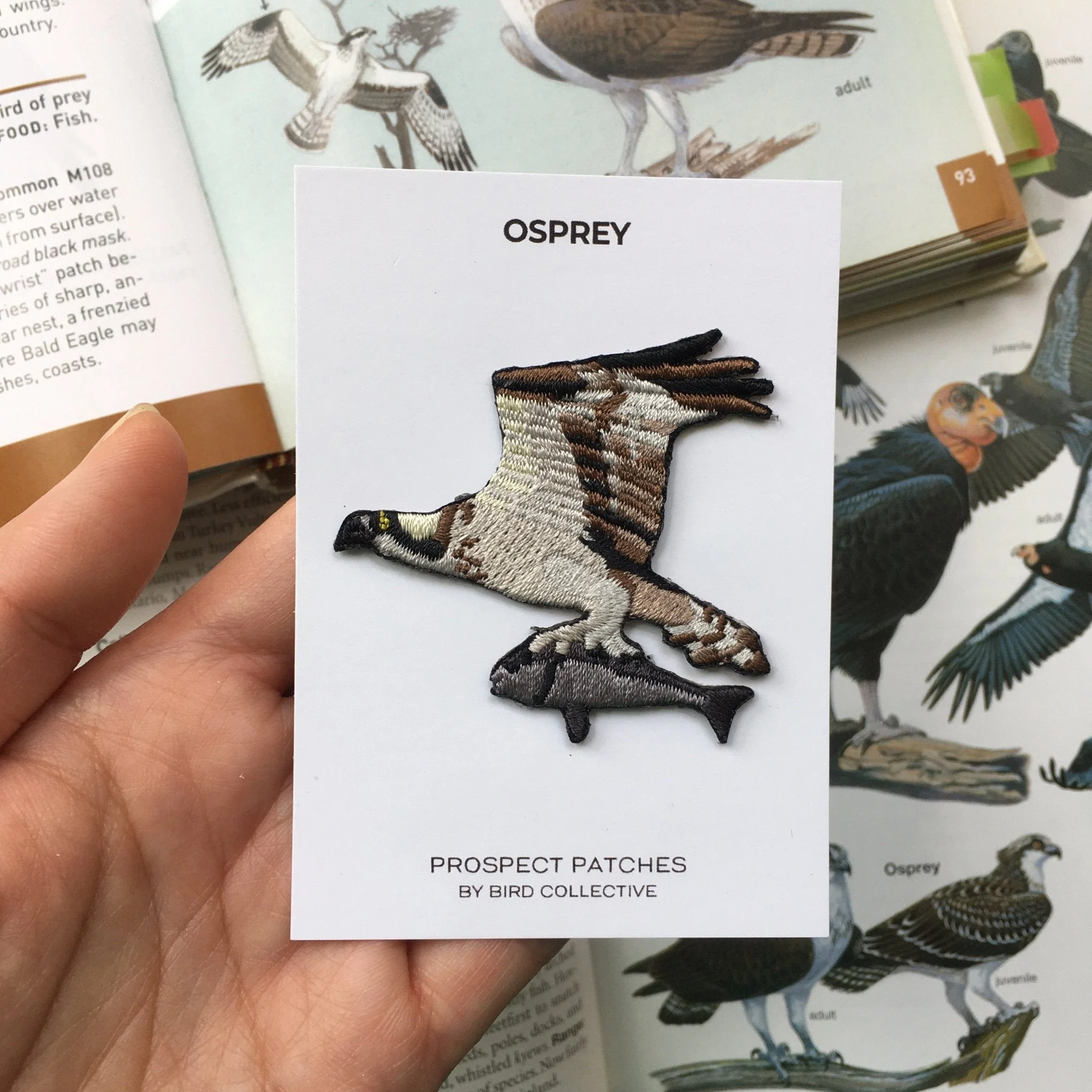 Osprey Patch - Image 3