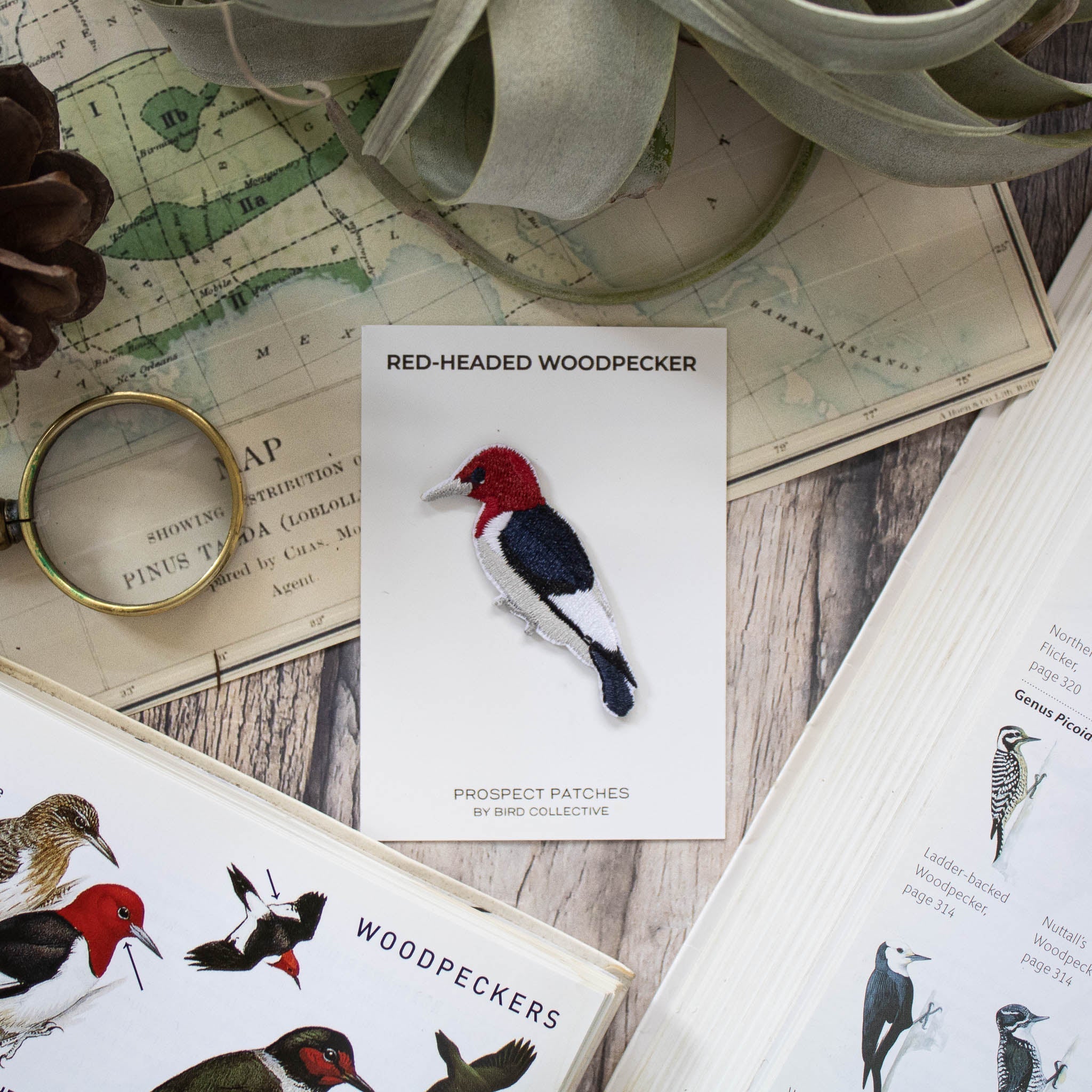 Red-headed Woodpecker Patch - Image 3