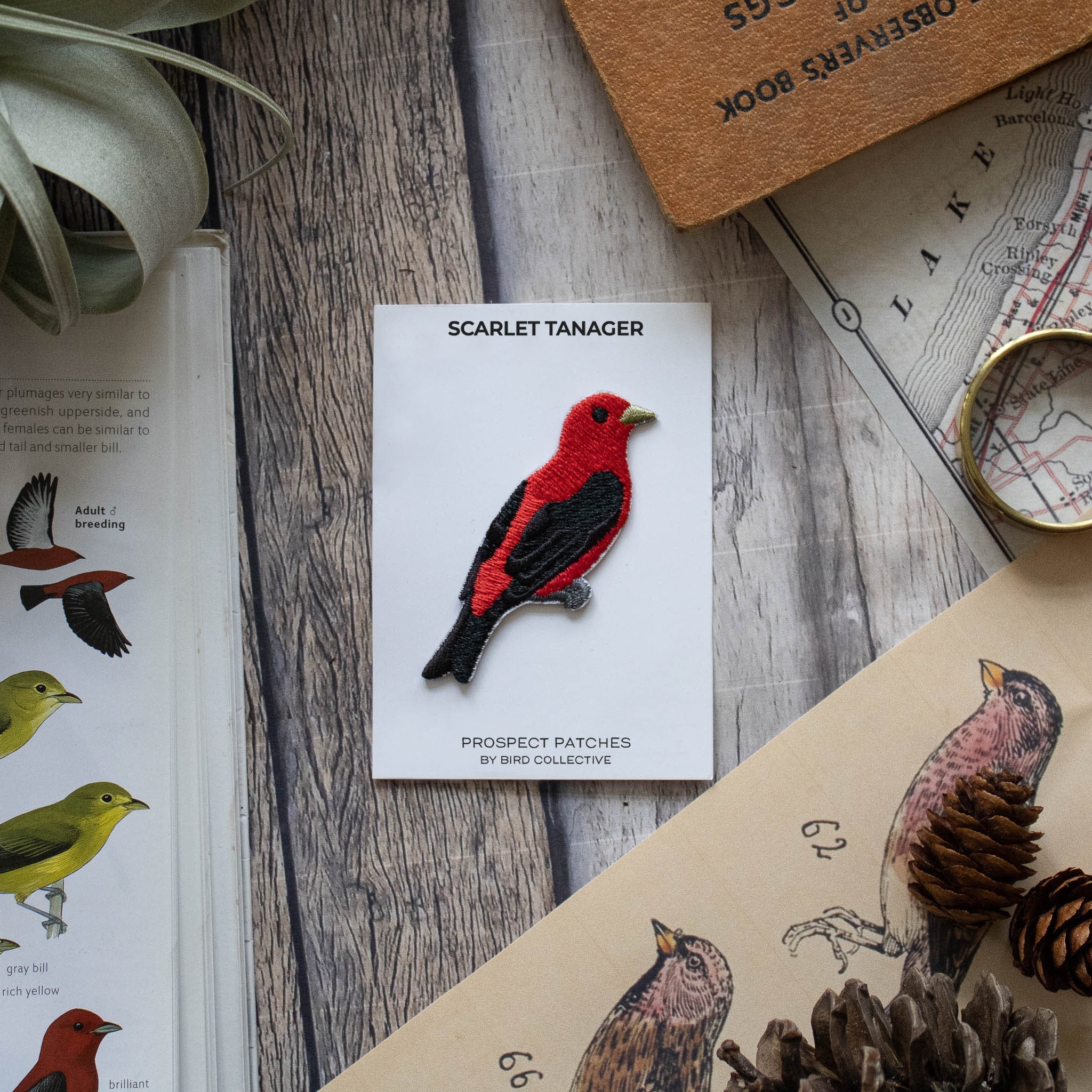 Scarlet Tanager Patch - Image 3