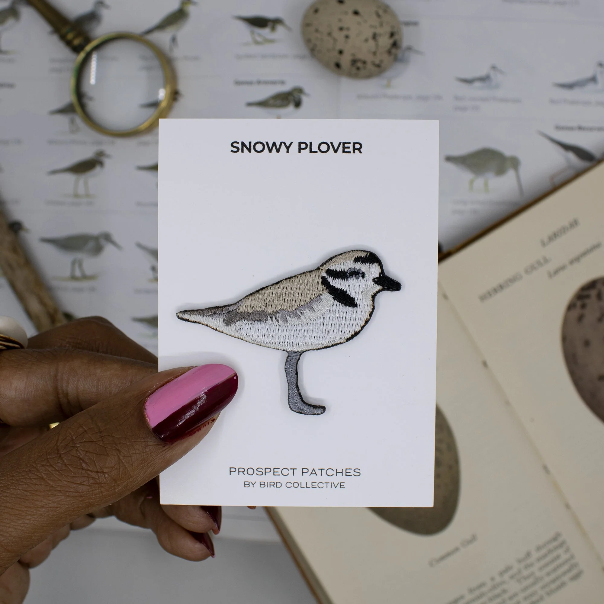 Snowy Plover Patch - Image 3