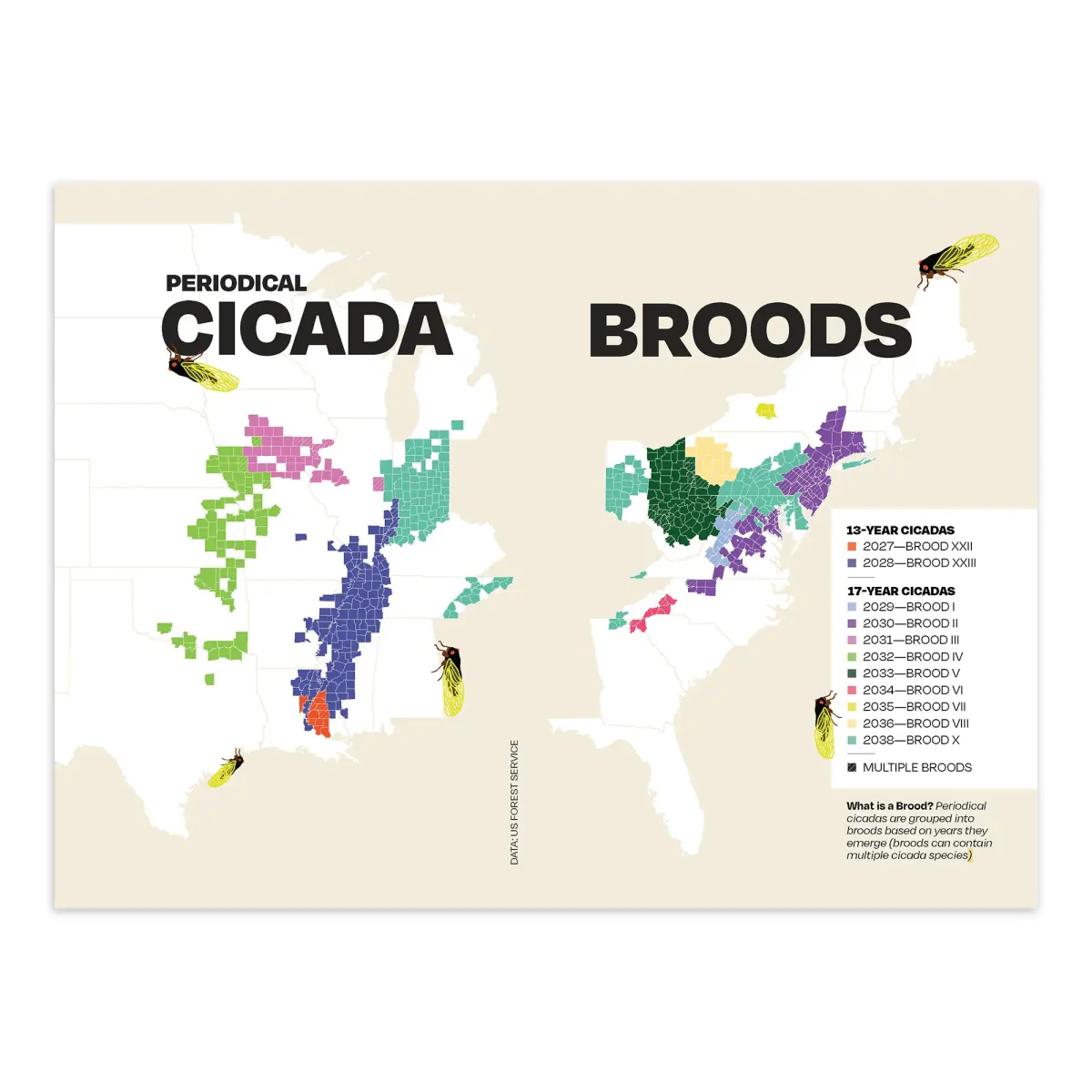 The Other Almanac 2026 - Image 4