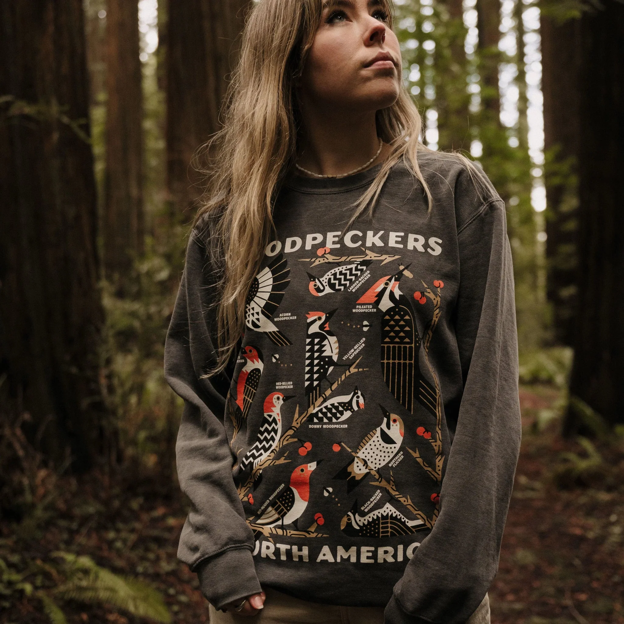 Woodpeckers of North America Sweatshirt - Image 4