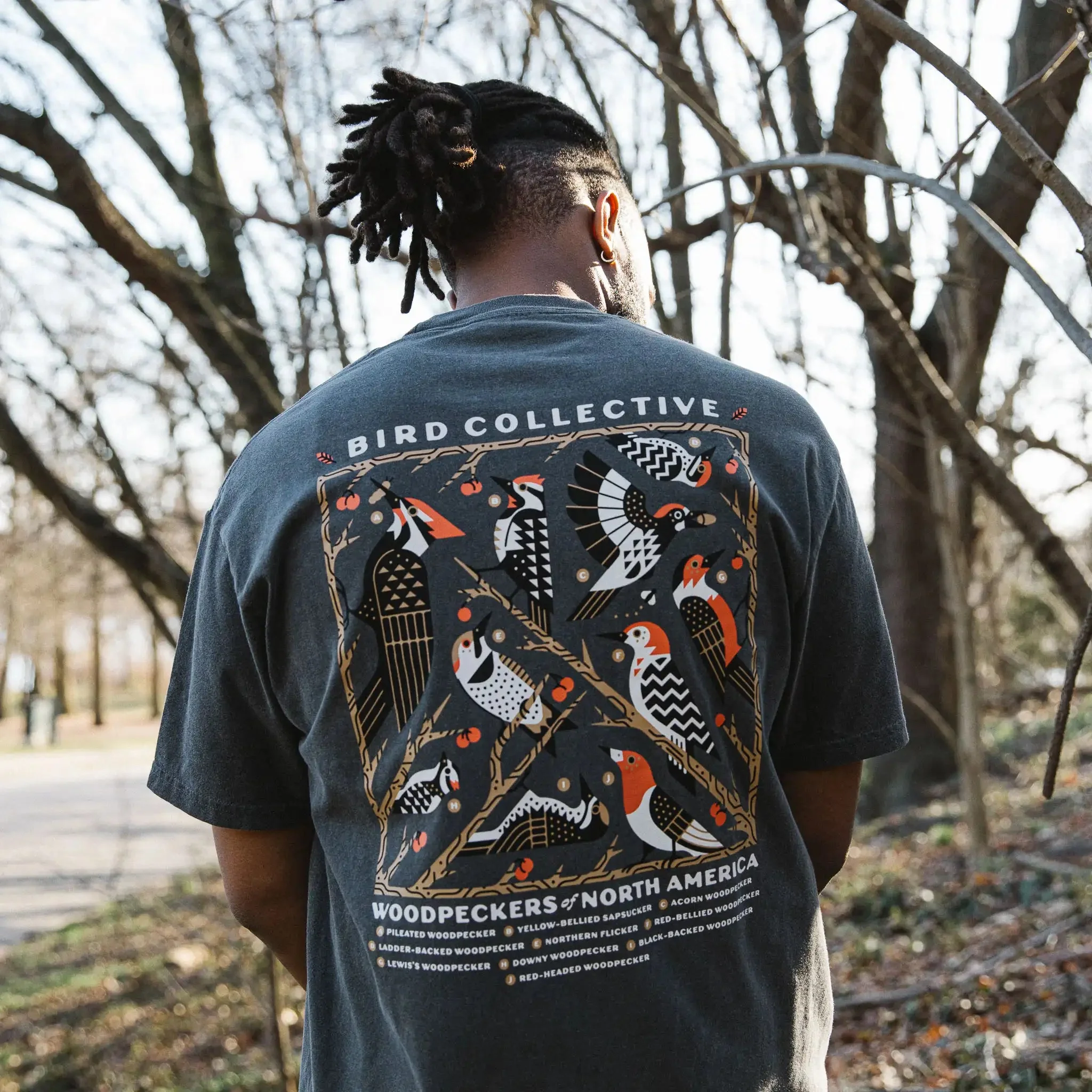 Woodpeckers of North America Tee - Image 5