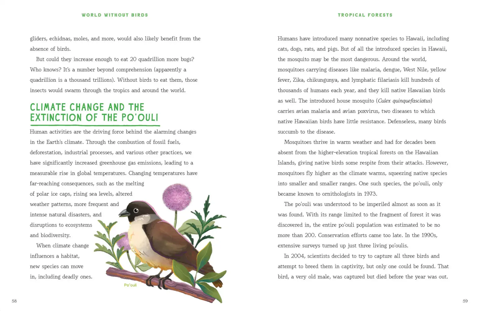 World Without Birds - Image 3