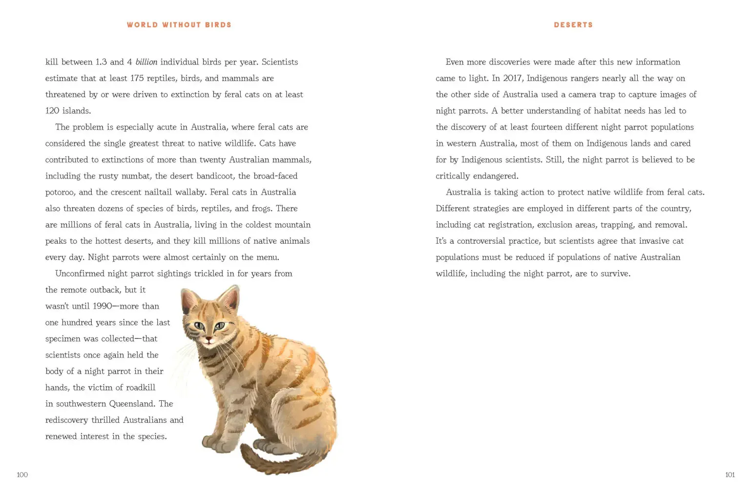 World Without Birds - Image 4